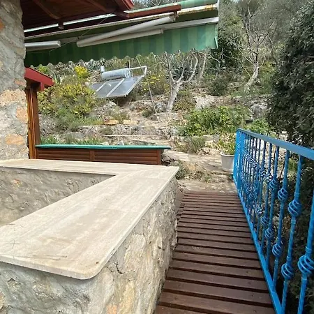 Orman Icinde Muhtesem 빌라 카야코이